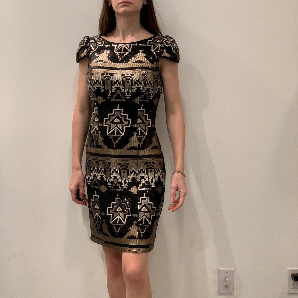 Langhem Dress Size 4